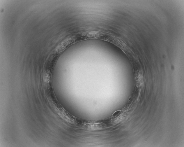 X0000062670472200601041014