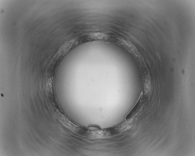 X0000062670473200601041014