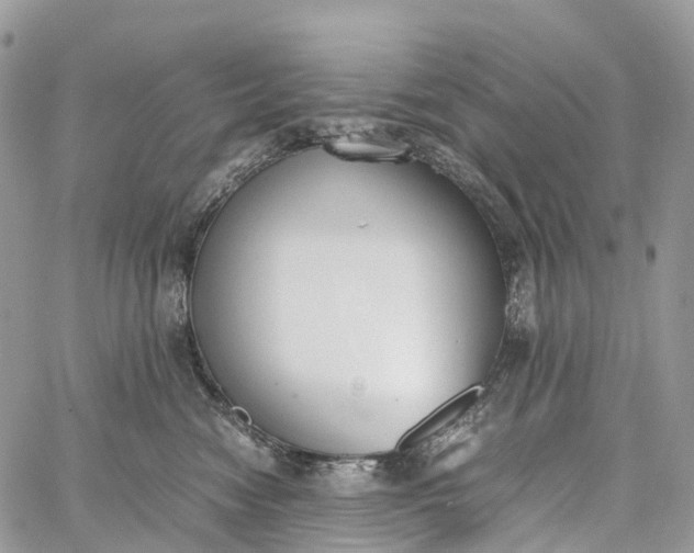 X0000062670474200601041014