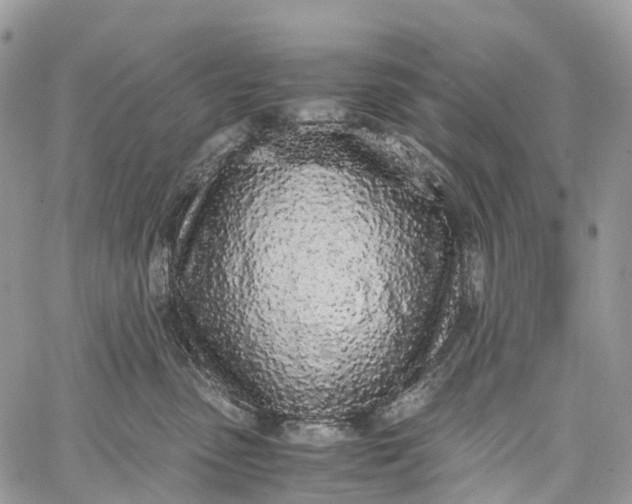 X0000062670475200601041014