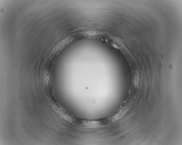 X0000062670476200601041014