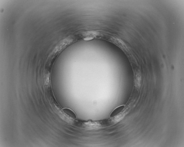 X0000062670477200601041014