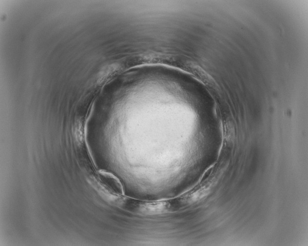 X0000062670479200601041014