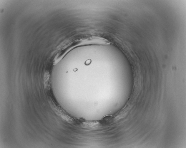 X0000062670480200601041014