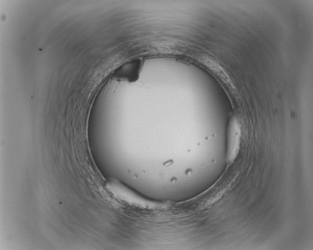 X0000062670481200601041013