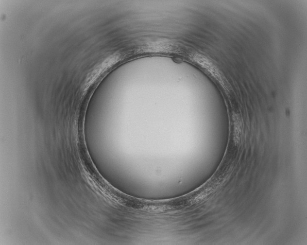 X0000062670482200601041013