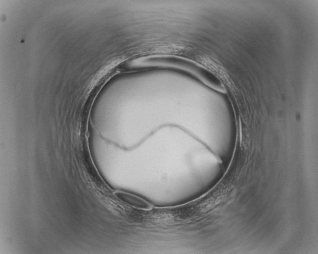 X0000062670483200601041013