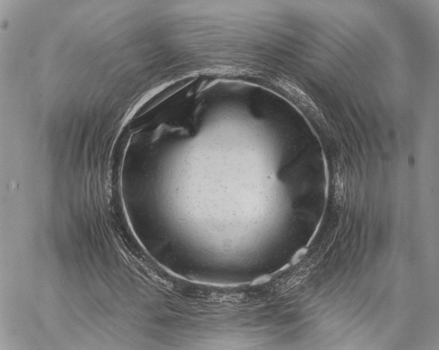 X0000062670484200601041013