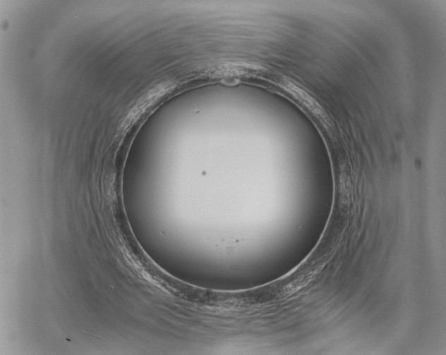 X0000062670485200601041013