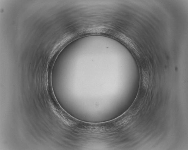 X0000062670486200601041013