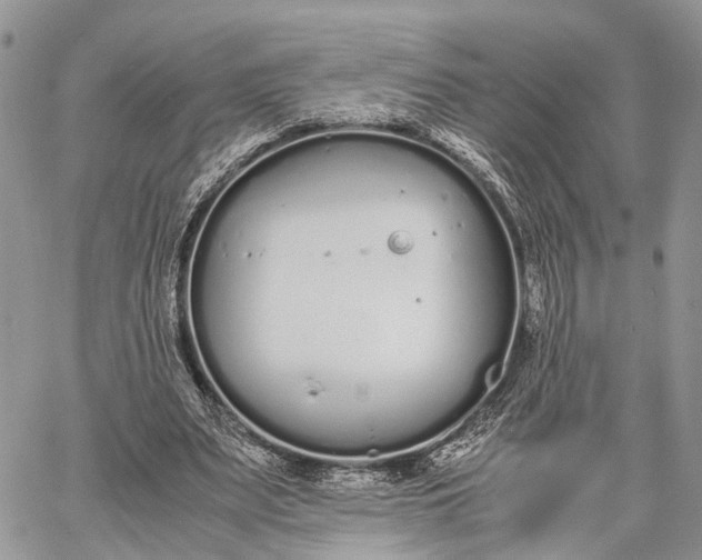 X0000062670487200601041013