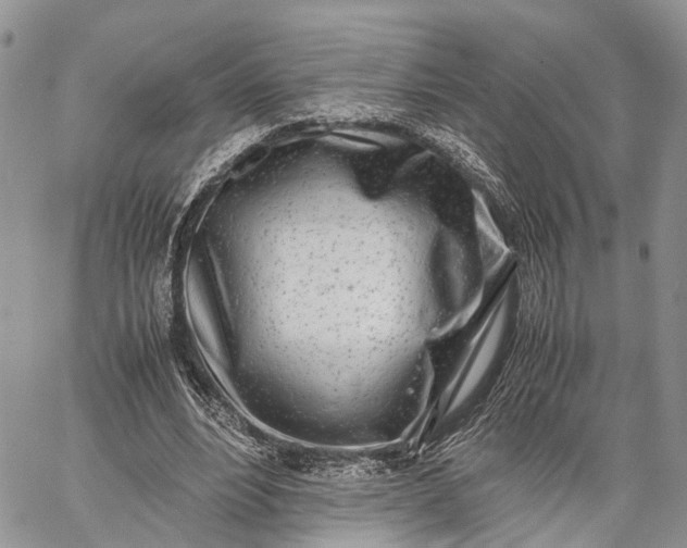 X0000062670488200601041013