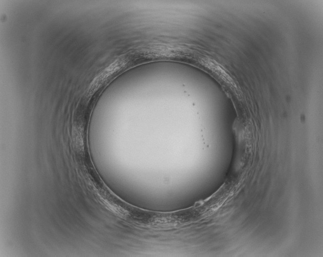 X0000062670489200601041013