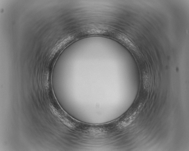 X0000062670490200601041013