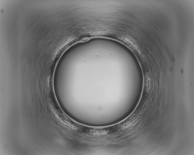 X0000062670491200601041013