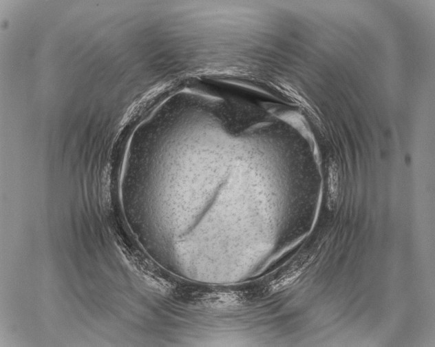 X0000062670492200601041013