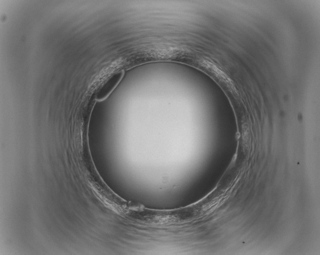 X0000062670493200601041013