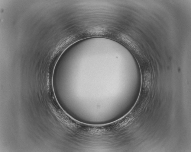 X0000062670494200601041013