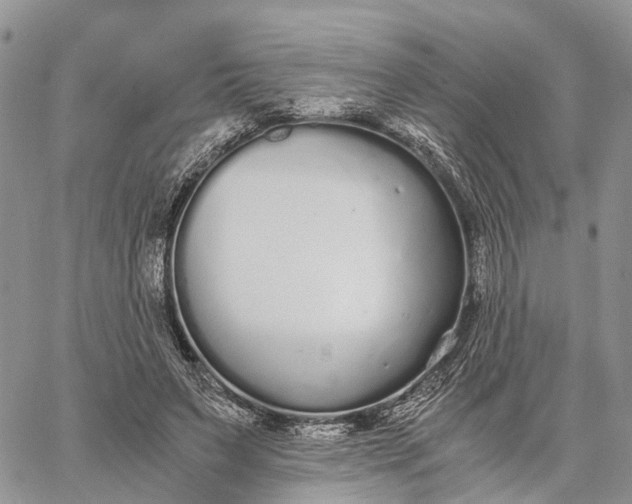 X0000062670495200601041013