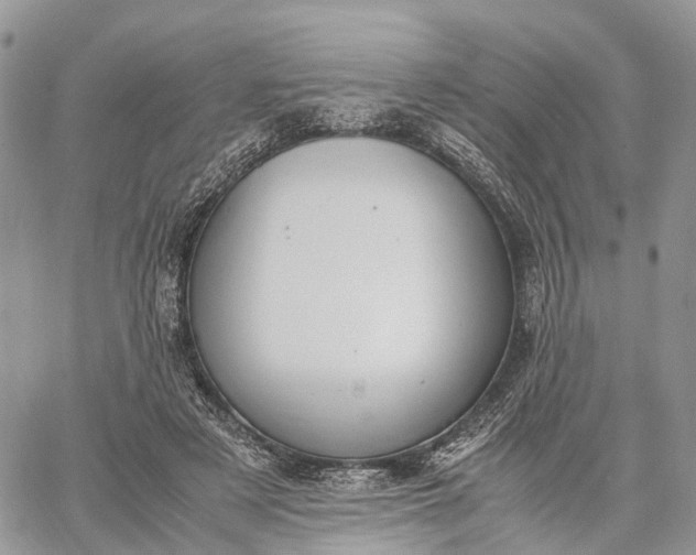 X0000062670497200601041013