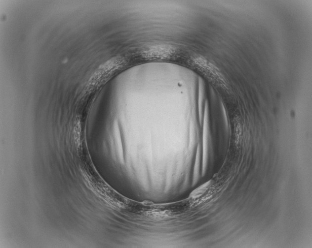 X0000062670498200601041013