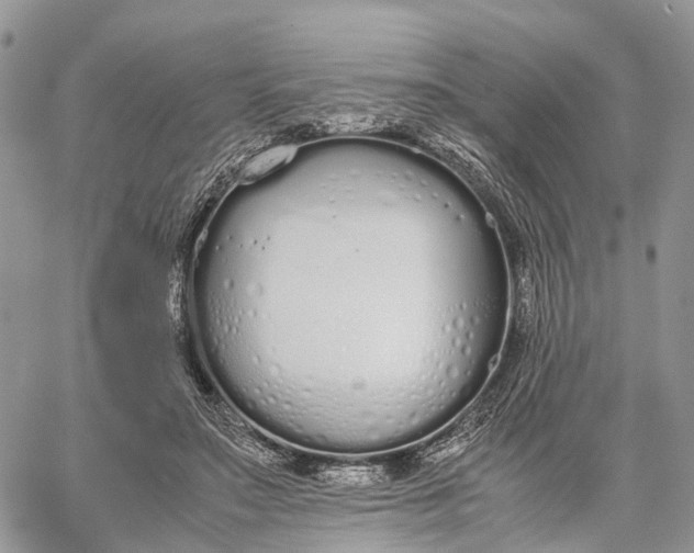 X0000062670499200601041013