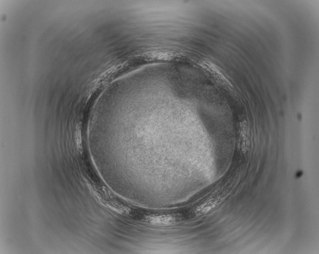 X0000062670500200601041013