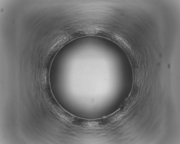 X0000062670501200601041013