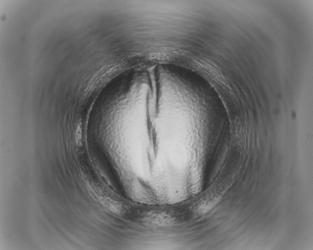 X0000062670502200601041013