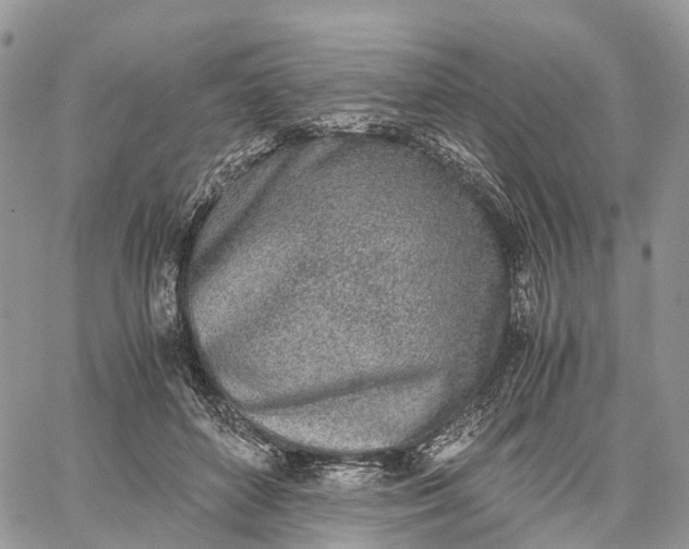 X0000062670504200601041013