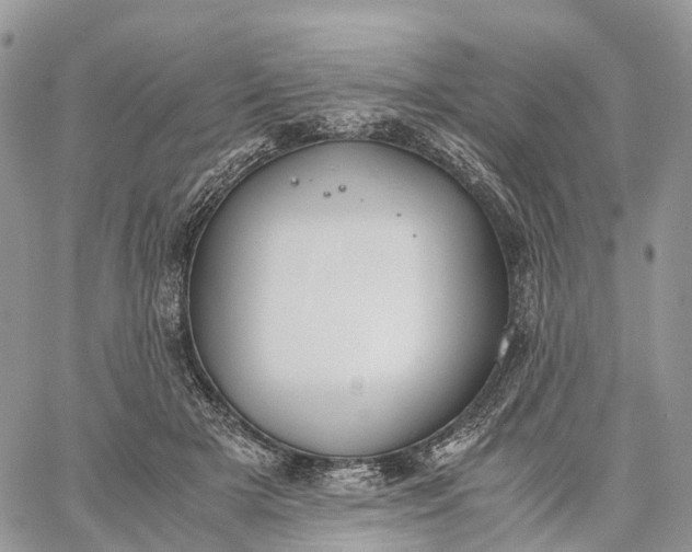 X0000062670505200601041013