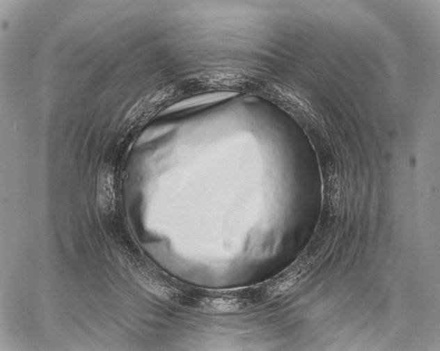 X0000062670506200601041013