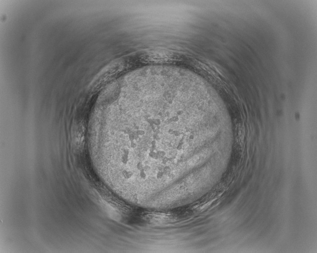 X0000062670507200601041013