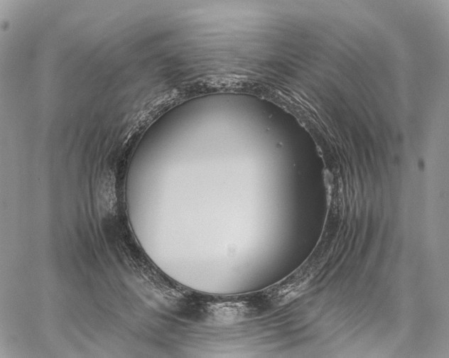 X0000062670508200601041013