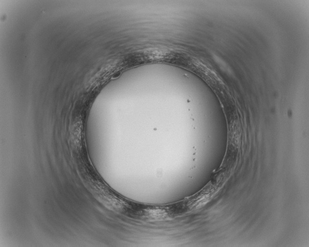 X0000062670509200601041013