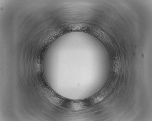 X0000062670510200601041013