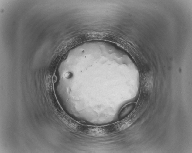 X0000062670511200601041013