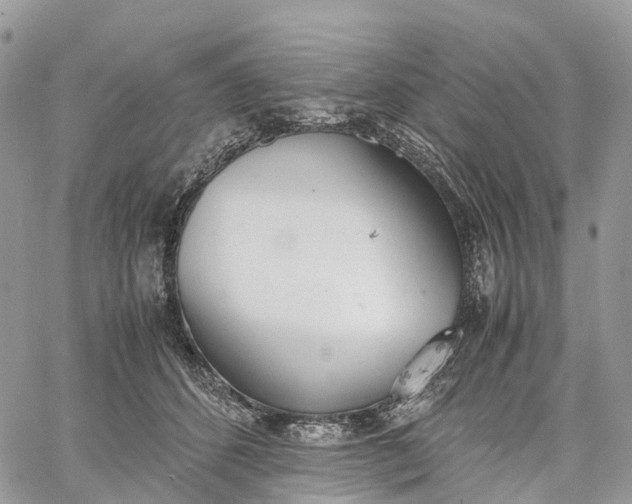 X0000062670512200601041013