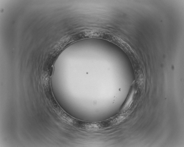 X0000062670513200601041013