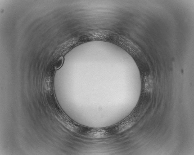 X0000062670514200601041013