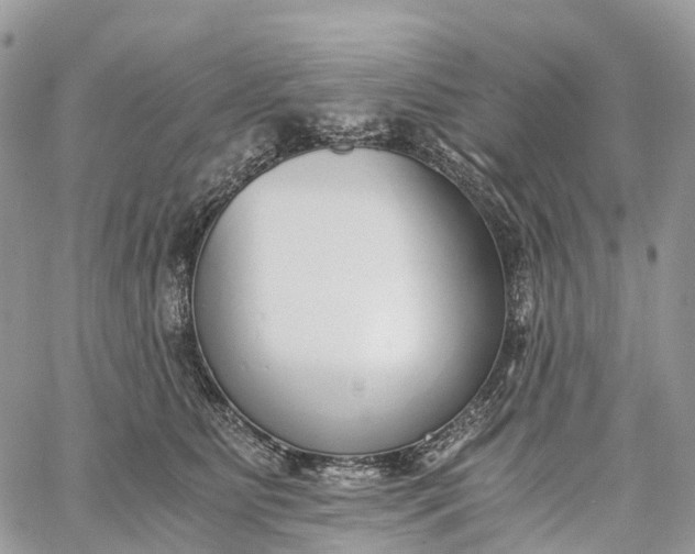 X0000062670515200601041013