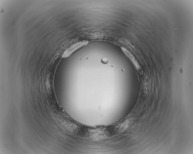 X0000062670516200601041013