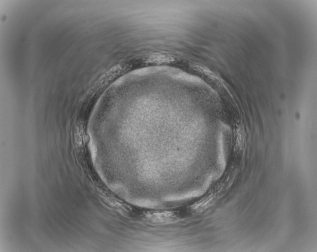 X0000062670517200601041013