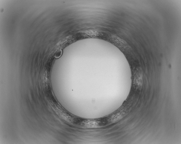 X0000062670518200601041013