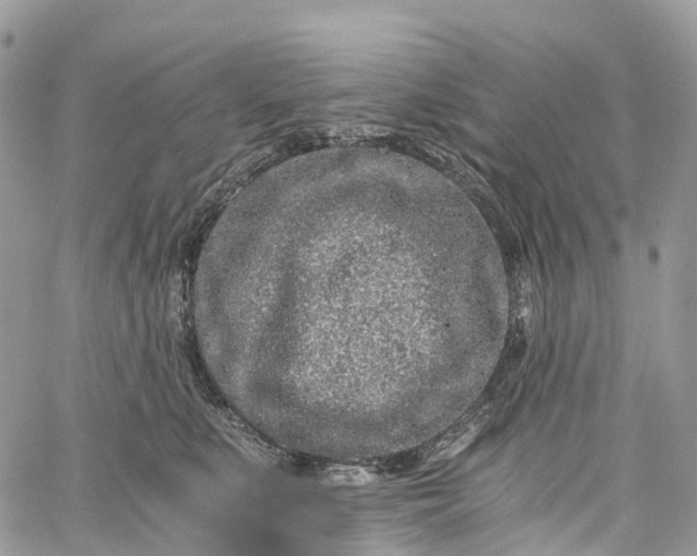 X0000062670519200601041013