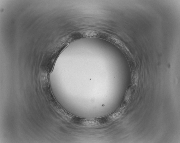 X0000062670521200601041013