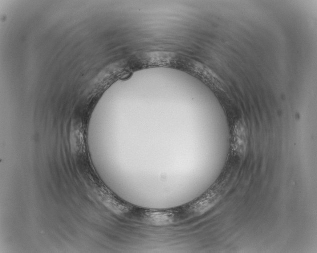 X0000062670522200601041013