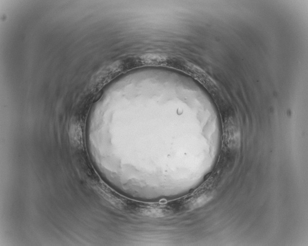 X0000062670523200601041013