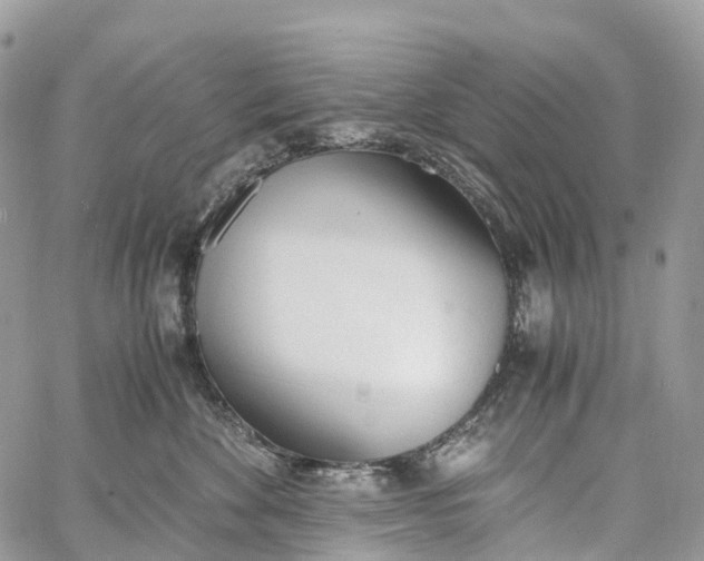 X0000062670524200601041013