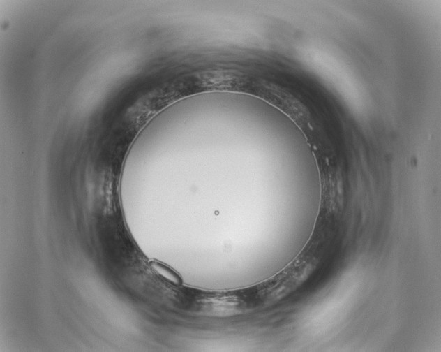 X0000062670525200601041013